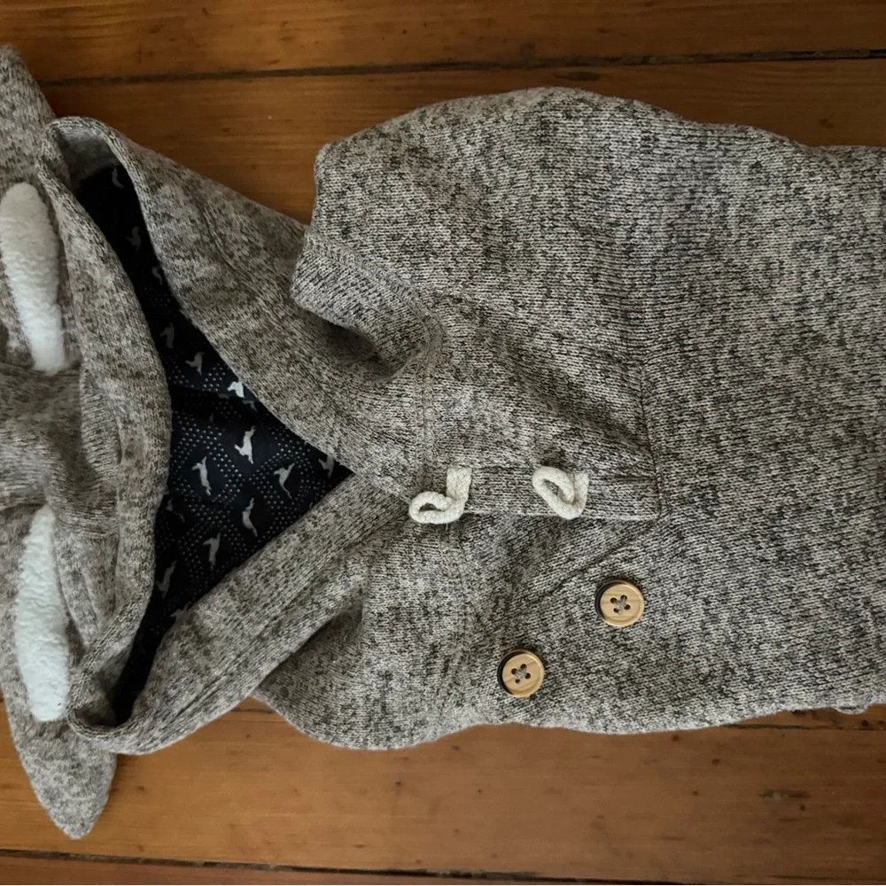 Grey “bunny” hoodie EUC